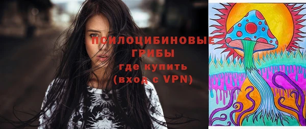 a pvp Медногорск