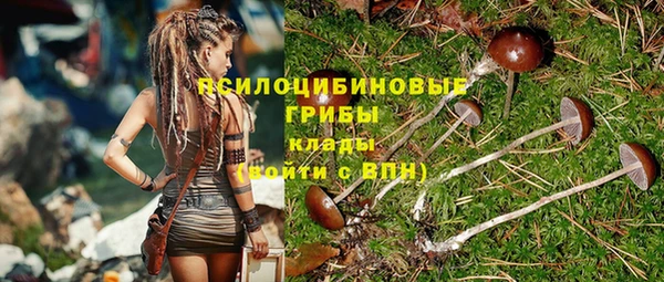 a pvp Медногорск