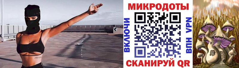 где можно купить наркотик  Дивногорск  omg как войти  Галлюциногенные грибы Magic Shrooms 