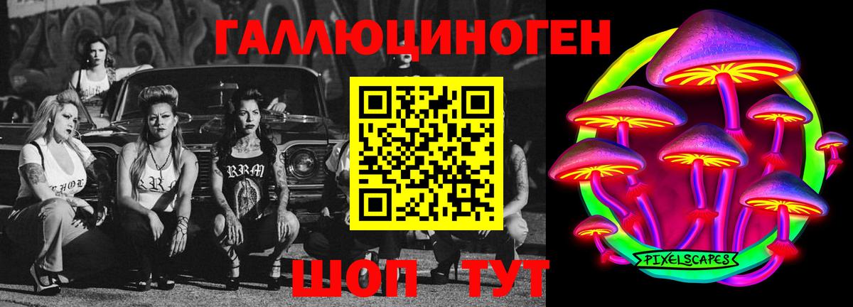 Галлюциногенные грибы Psilocybe  Дивногорск 